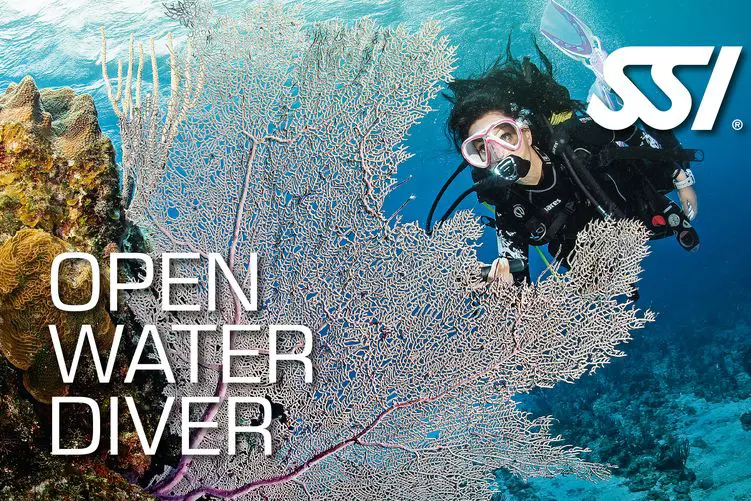 Try Scuba Course